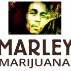 La “Guerra della Marijuana” che Bob Marley può vincere